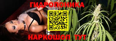 гидра Апрелевка