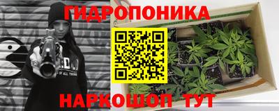 прущие грибы Аргун