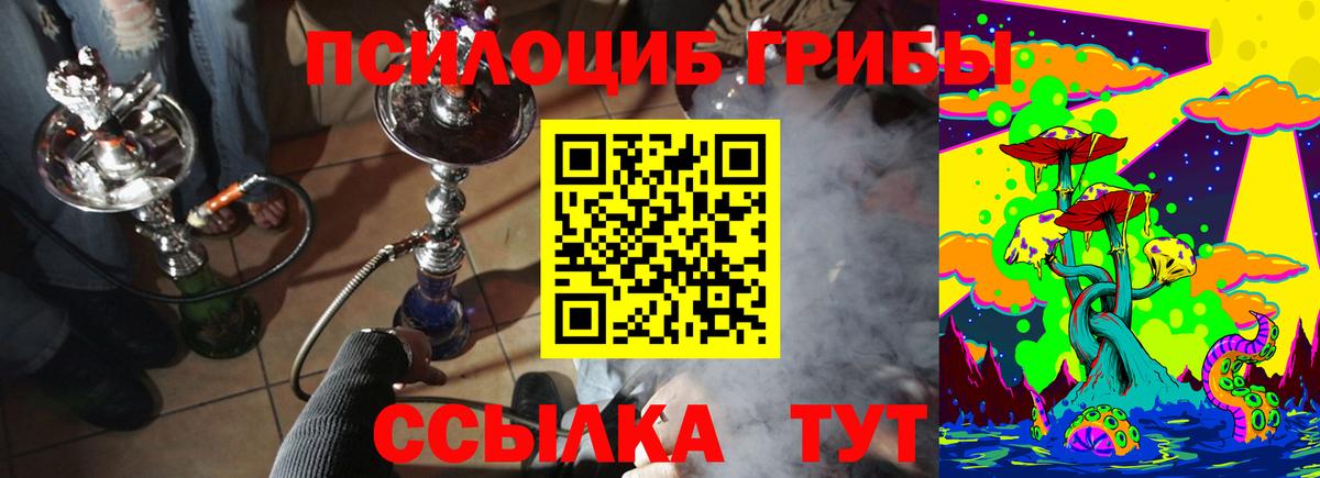 наркошоп  Вход с VPN  Всеволожск  Галлюциногенные грибы Cubensis 